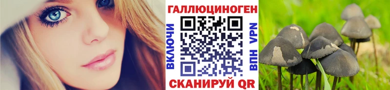 omg ссылки  Отрадный  Псилоцибиновые грибы GOLDEN TEACHER  магазин   