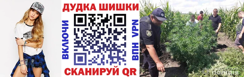 Марихуана THC 21%  как найти закладки  Отрадный 